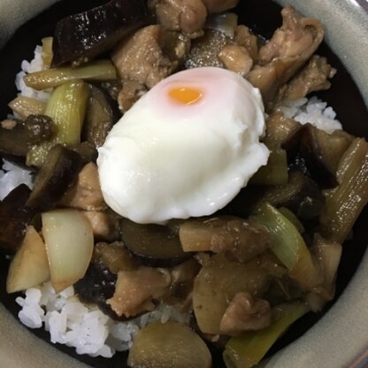 焼き鳥丼にしてみました！美味しかったです(^^)